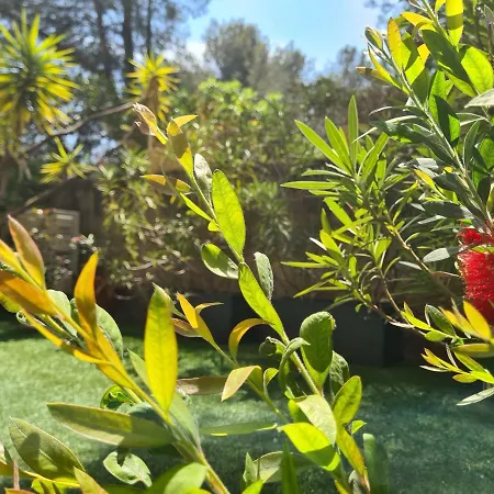 公寓 Jardin Prive Ds Le Centre De - Parking - A 500m